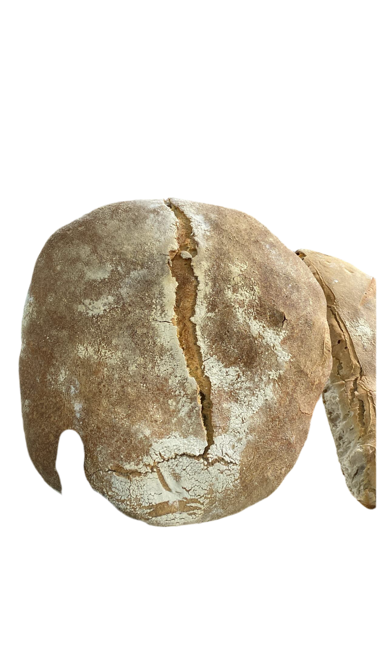 Pane cafone napoletano 2kg